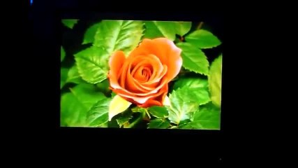 tv toshiba sans lunettes