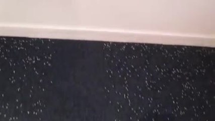 Les Numériques : Dirt Devil Rebel 21, utilisation de la brosse double position