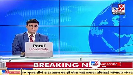 Lion pride takes a stroll in Rajula's village, Amreli _ TV9News