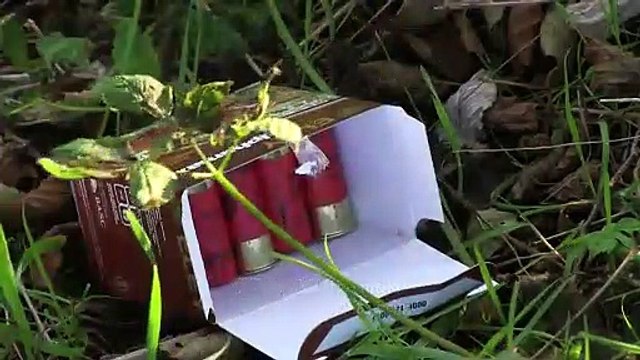 The Shooting Show border rough shoot and Irish sika