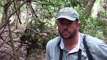 The Shooting Show Hyrax, baboon and bushbuck in South Africa, and taking the DSC1