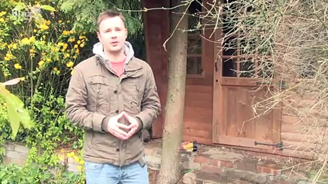 The Shooting Show London Prepares, Bens first shooting lesson & Tim Pilbeams rifle tips.