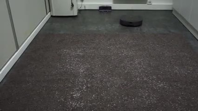 Les Numériques : Ememe Tulip sur tapis épais à poils longs