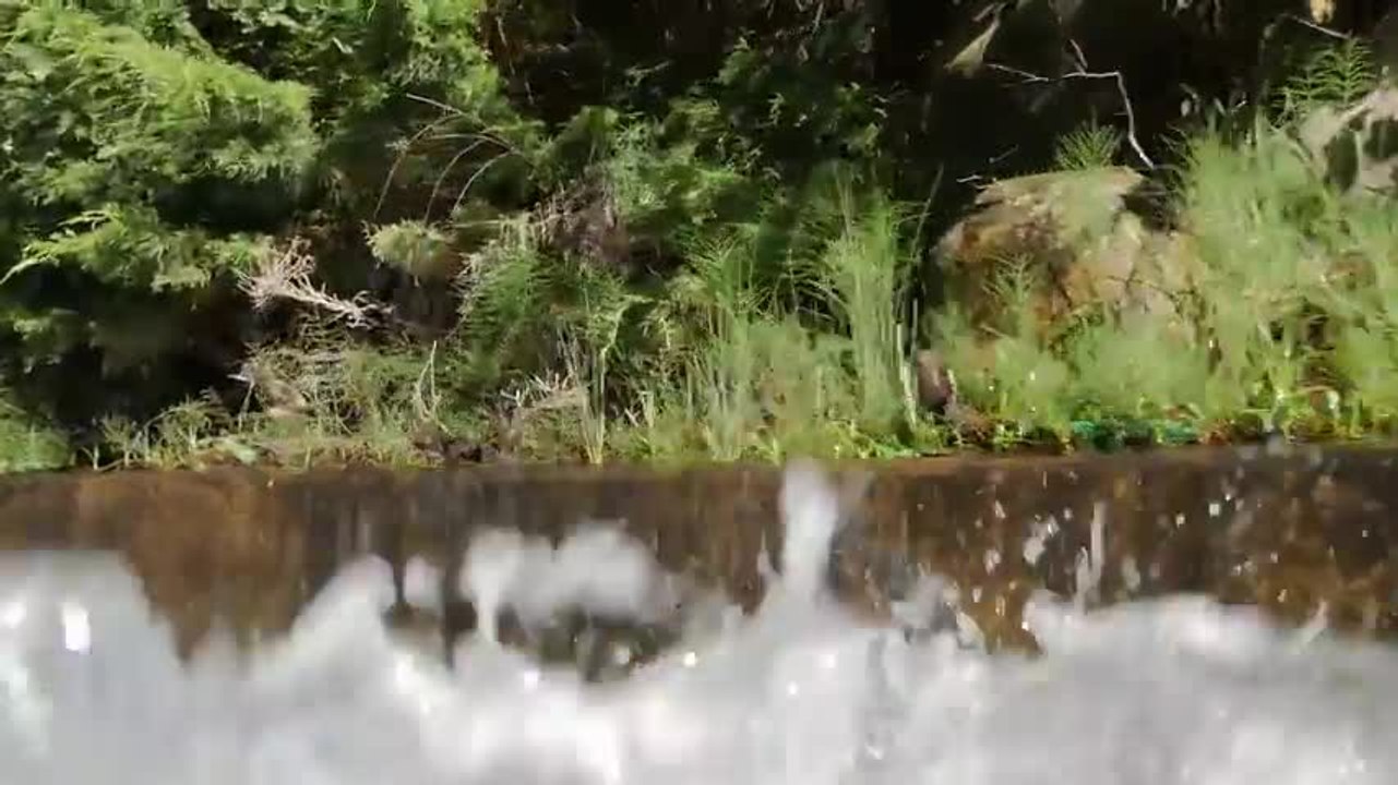 Les Numériques : Rush vidéo 4K du Panasonic Lumix GH4 au Parc Asterix !