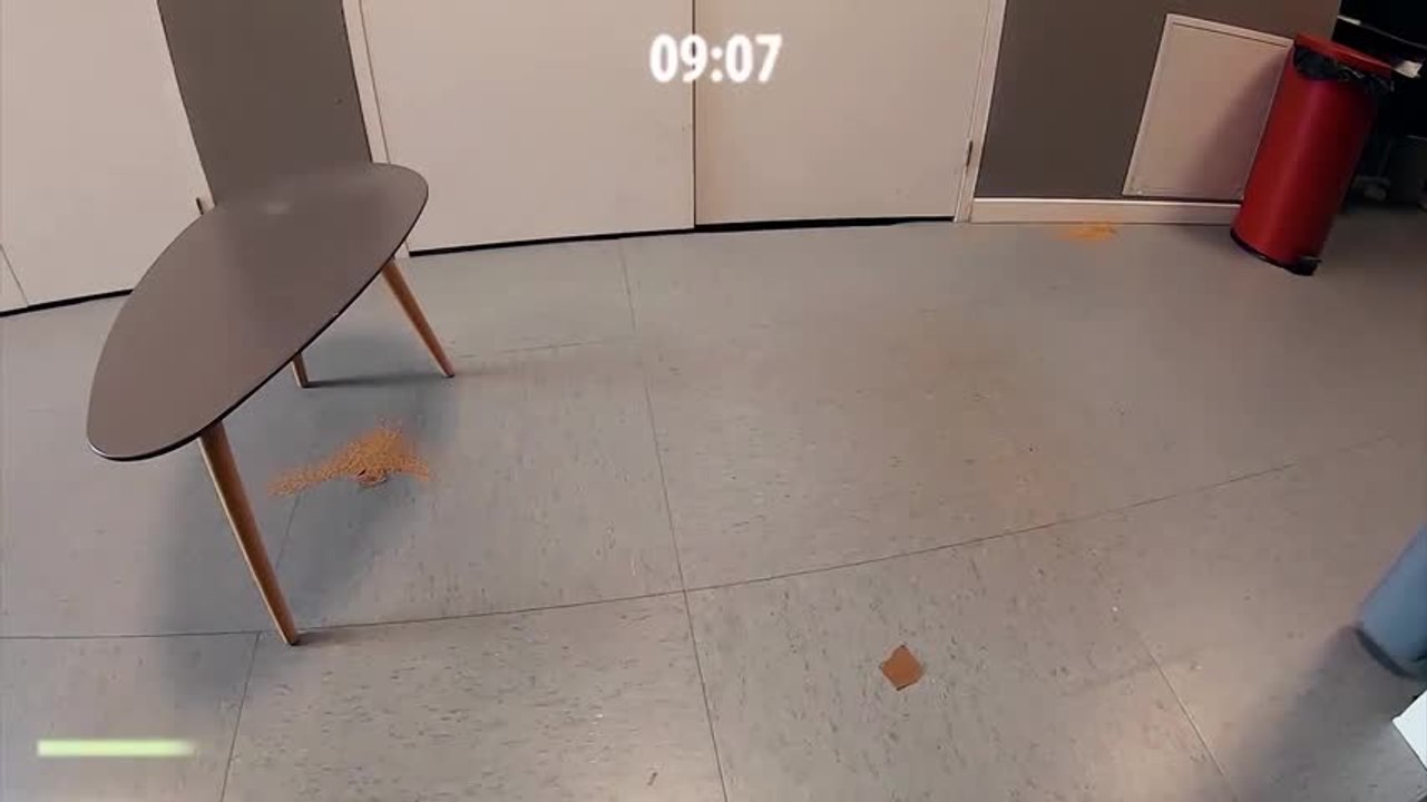 Test aspiration du iRobot Roomba e5 : l'aspi-robot bourrin !