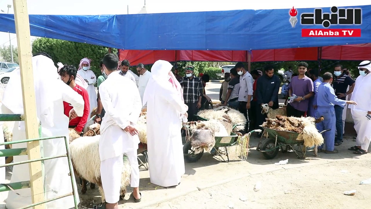 فلاح السعيدي لـ «الأنباء»  لم نواجه أي عقبات وعدد الأضاحي التي تم ذبحها في اليوم الأول وصل إلى 3500 حتى الساعة 11.30 صباحا