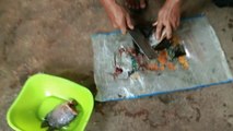 cara membuat ikan asin - ikan hasil anco
