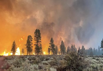 Massive Bootleg Fire in Oregon Is Creating Its Own Weather