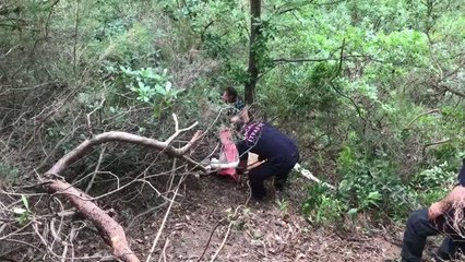 Sahibinin elinden kaçarak uçuruma yuvarlanan büyükbaş hayvan düştüğü alanda kesildi