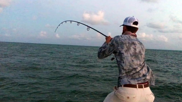 Tarpon Caught on Spinning Tackle