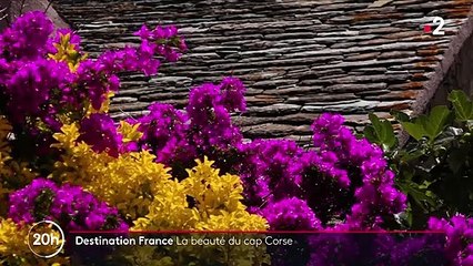 Destination France : à la découverte de la beauté du Cap Corse