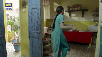 Do Bol Episode 12 _ 9th April 2019 _ ARY Digital [Subtitle Eng]