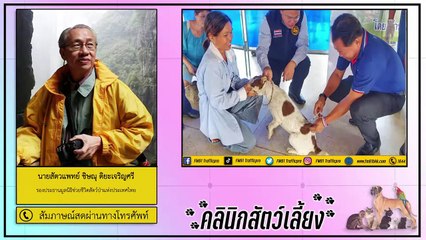 ทำไม!! ถึงต้องฉีดวัคซีนให้กับสัตว์เลี้ยง : FM91 คลินิกสัตว์เลี้ยง : 28 พฤศจิกายน 2563