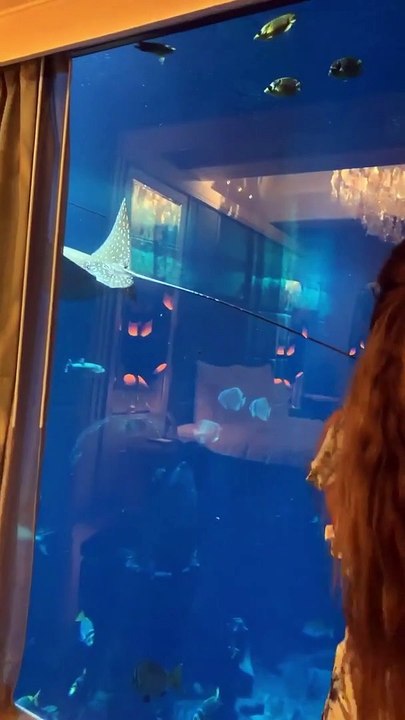 بلقيس تهنئ جمهورها بعيد الأضحى مع ابنها