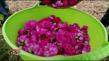 Las recetas de Julie - El sabor de las flores