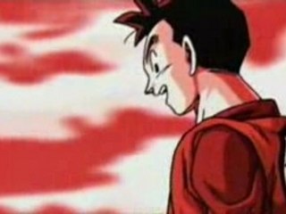 intro shin budokai 2