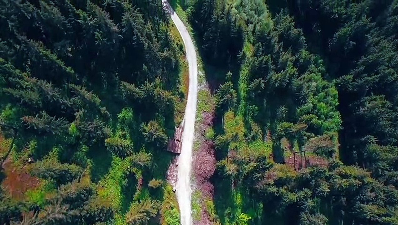 Beautiful nature road passed from forest relaxing music