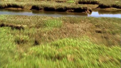 Jurassic Fight Club Killer Predators vs. Hulking Herbivores (S1, E6)