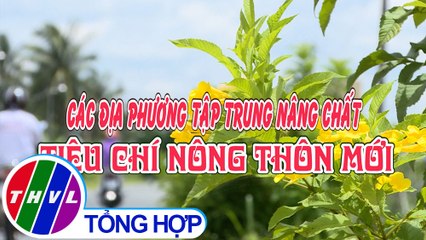 Nông thôn ngày nay: Các địa phương tập trung nâng chất tiêu chí nông thôn mới