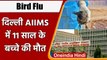 Bird Flu In India: इस साल भारत में पहली मौत, AIIMS में 11 साल के लड़के ने तोड़ा दम | वनइंडिया हिंदी