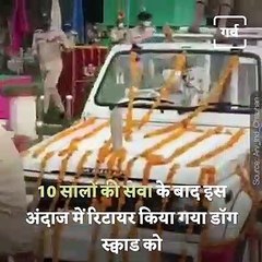 Retirement Ceremony Of Dog Squad That Served At Jaipur Airport For 10 Years