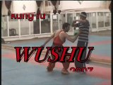 Malang Wushu (08)-2008-01A