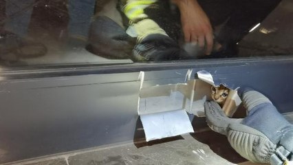 Son dakika haber! PENCERENİN ÇERÇEVESİNDE SIKIŞAN YAVRU KEDİYİ İTFAİYE KURTARDI