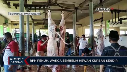 RPH Penuh, Warga Sembelih Hewan Kurban Sendiri