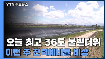 오늘 최고 36도 불볕더위...신월성 1호기 최대 출력 가동 / YTN