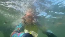 Una niña de 4 años recoge plástico en el océano