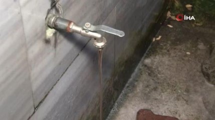 İstanbul'da kaçak kurban kesimi çeşmeden kan akıttı