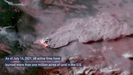 Пожар в Орегоне виден из космоса