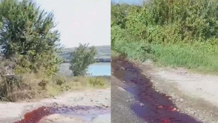 Arnavutköy'de kesilen kurbanların kanı sazlıdere Barajı'na aktı