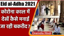 Eid-ul-Adha: आज देशभर में मनाई जा रही Bakrid, मस्जिदों में की गई नमाज़ अदा । वनइंडिया हिंदी
