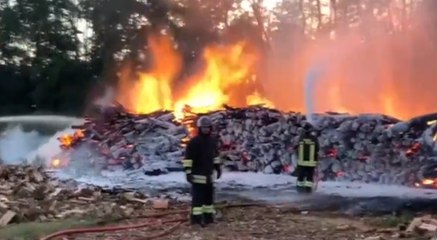Zinasco (PV) - Legnaia a fuoco, distrutti 600 quintali di materiale (21.07.21)