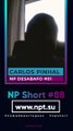 NP Short #88 | As minhas perspectivas de vida em Portugal... -- NP Desabafo #01