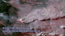 شاهد: صور ناسا تظهر حجم الدمار الهائل الذي خلفته حرائق ولاية أوريغون الأمريكية