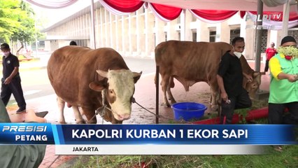 Masjid Istiqlal Gelar Pemotongan Hewan Kurban