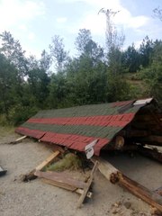 Piknik yaptıkları kamelyanın altında kaldılar