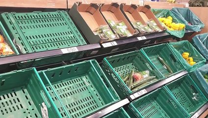 Regno Unito, autotrasportatori cercansi