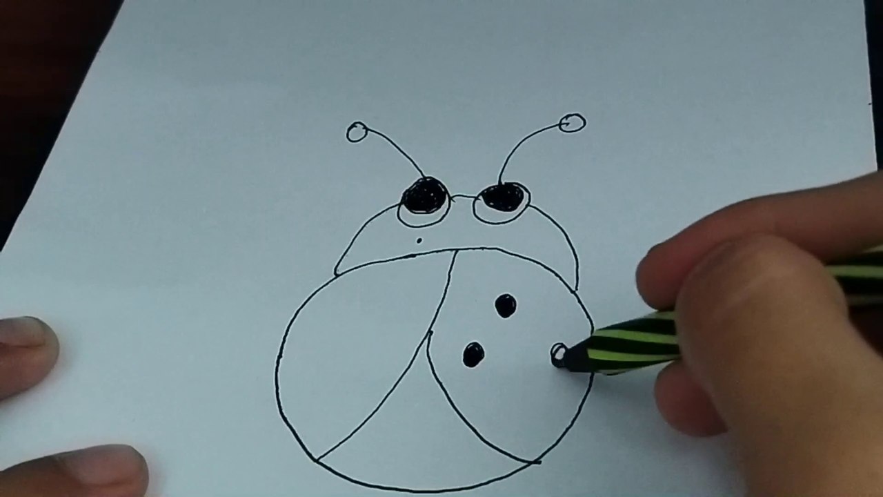 How to draw a beetle easily