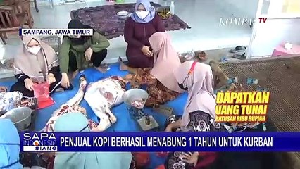 Cerita Pedagang Kopi di Madura: Menabung Selama 1 Tahun dan Berhasil Membeli Sapi untuk Kurban