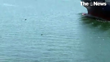 Swimmer-60f7db7904732008a8bb0c62_Jul_21_2021_10_35_10 (1)