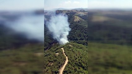 İzmir'de çıkan orman yangınına müdahale ediliyor