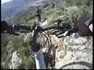 Las Gallinas y la Querida