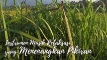 #52 Instrumen Musik Relaksasi yang Menenangkan Pikiran