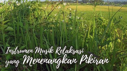 #59 Instrumen Musik Relaksasi yang Menenangkan Pikiran