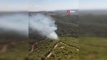 Son dakika haber... İzmir'de ormanlık alanda yangın