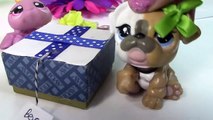 Fan Mail #12 Mystery Surprise Boxes LPS Littlest Pet Shop Toy Package Opening