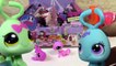 LPS Blind Bag HAUL Littlest Pet Shop Party Stylin Pets BOX case toy review opening (2)
